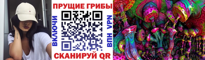 Псилоцибиновые грибы прущие грибы  Куйбышев 
