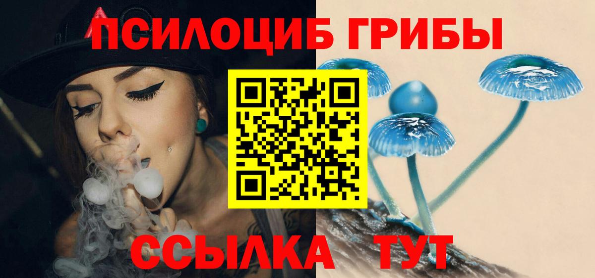цены наркотик  Галлюциногенные грибы MAGIC MUSHROOMS  Вход с VPN  Куйбышев 